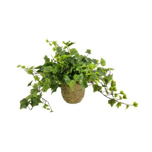 Ivy Arrangement in Straw Grass Pot