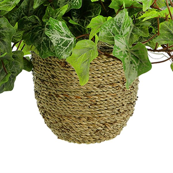 Ivy Arrangement in Straw Grass Pot - Image 4