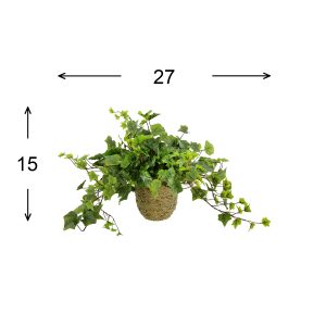 Ivy Arrangement in Straw Grass Pot