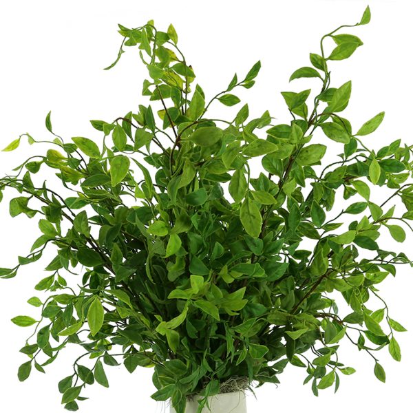 Nandina Arranged in Round Ceramic Vase - Image 4