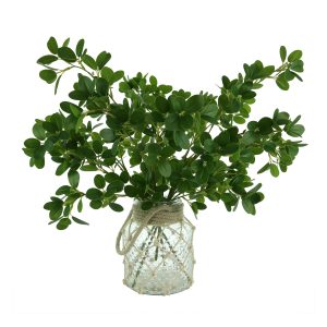 Boxwood Arrangement in Glass Vase with Rope Accent
