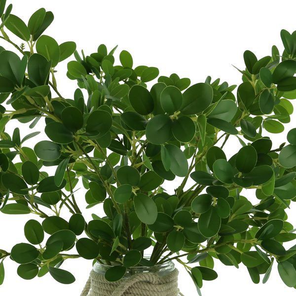 Boxwood Arrangement in Glass Vase with Rope Accent - Image 3