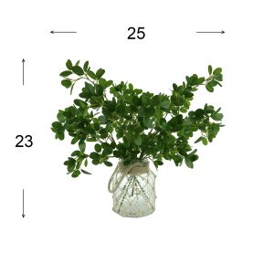 Boxwood Arrangement in Glass Vase with Rope Accent