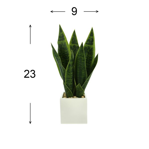 Snake Plant in Fiberstone Pot with Rocks - Image 4