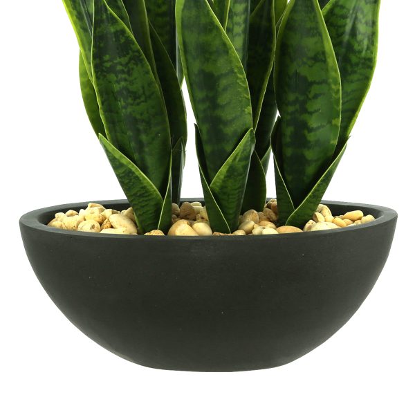 Snake Plant with Rocks in Fiberstone Pot - Image 3