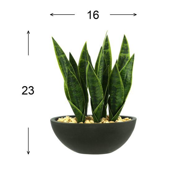 Snake Plant with Rocks in Fiberstone Pot - Image 4